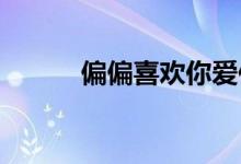 偏偏喜歡你愛(ài)你沒(méi)道理是什么歌