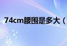 74cm腰圍是多大（74cm腰圍是多少尺寸）