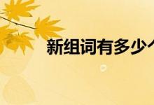 新組詞有多少個(gè)（新組詞有哪些）