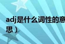 adj是什么詞性的意思（pron是什么詞性的意思）
