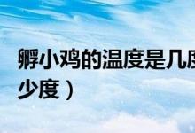 孵小雞的溫度是幾度合適(孵小雞的溫度是多少度)