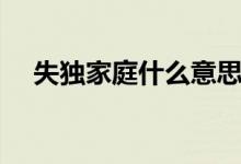 失獨(dú)家庭什么意思（失獨(dú)家庭什么意思）