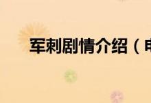 軍刺劇情介紹(電視劇軍刺劇情介紹)