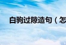 白駒過(guò)隙造句（怎么用白駒過(guò)隙造句呢）