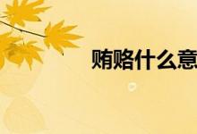 賄賂什么意思（賄賂含義）