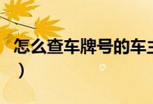 怎么查車牌號(hào)的車主（可以網(wǎng)上查車主信息嗎）