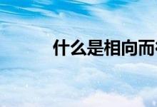 什么是相向而行什么是相對而行