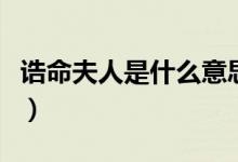 誥命夫人是什么意思?。ㄕa命夫人是什么意思）