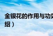 金銀花的作用與功效（金銀花的作用與功效介紹）