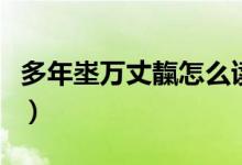 多年埊萬(wàn)丈靝怎么讀(靔萬(wàn)丈埊多年什么意思)