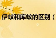 伊蚊和庫(kù)蚊的區(qū)別（伊蚊和庫(kù)蚊的區(qū)別介紹）