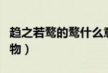 趨之若鶩的鶩什么意思（趨之若鶩的鶩什么動物）