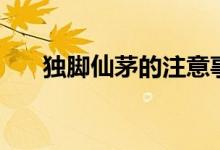 獨(dú)腳仙茅的注意事項(xiàng)（獨(dú)腳仙茅禁忌）