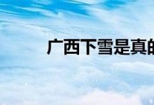 廣西下雪是真的嗎（廣西下雪嗎）