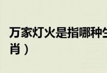 萬家燈火是指哪種生肖（萬家燈火是指哪個生肖）
