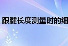 跟腱長(zhǎng)度測(cè)量時(shí)的細(xì)則（跟腱長(zhǎng)度測(cè)量方法）