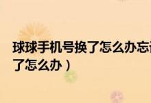球球手機號換了怎么辦忘記密碼了（球球密碼忘了手機號換了怎么辦）