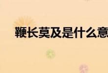 鞭長莫及是什么意思（鞭長莫及的含義）