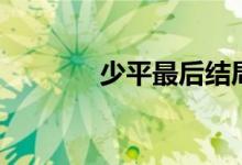 少平最后結局（少平的結局）