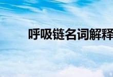 呼吸鏈名詞解釋（呼吸鏈名詞解釋）