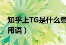 知乎上TG是什么意思（知乎tg什么意思網(wǎng)絡(luò)用語）