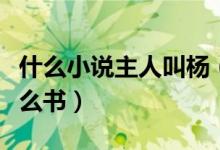 什么小說主人叫楊（小說男主角叫張楊都有什么書）