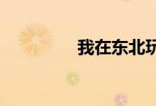 我在東北玩泥巴是什么歌
