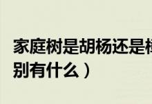 家庭樹(shù)是胡楊還是樟子松（胡楊和樟子松的區(qū)別有什么）