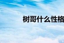 樹哥什么性格（樹哥什么意思）