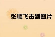 張順飛擊劍圖片（張順飛擊劍什么梗）