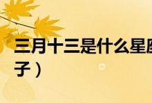 三月十三是什么星座農(nóng)歷（三月十三是什么日子）