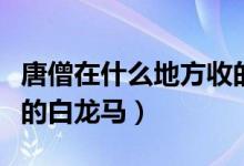 唐僧在什么地方收的白馬（唐僧在什么地方收的白龍馬）