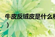 牛皮反絨皮是什么材質(zhì)(牛皮反絨皮是真皮嗎)