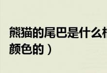 熊貓的尾巴是什么相間的（熊貓的尾巴是什么顏色的）