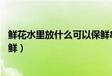 鮮花水里放什么可以保鮮84消毒液（鮮花水里放什么可以保鮮）