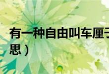 有一種自由叫車厘子自由（車厘子自由是啥意思）