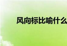 風(fēng)向標(biāo)比喻什么（風(fēng)向標(biāo)比喻什么）