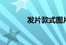 發(fā)片款式圖片（發(fā)片是什么）
