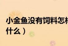 小金魚沒有飼料怎樣養(yǎng)活（小金魚沒有飼料吃什么）