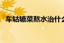 車轱轆菜熬水治什么?。ㄜ囬镛A菜怎么吃）