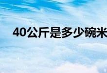 40公斤是多少碗米飯（40公斤是多少斤）