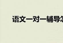 語(yǔ)文一對(duì)一輔導(dǎo)怎么教（方法是什么）