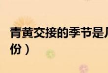 青黃交接的季節(jié)是幾月（青黃不接是指哪個月份）