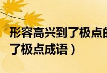 形容高興到了極點(diǎn)的成語(yǔ)是哪個(gè)（形容高興到了極點(diǎn)成語(yǔ)）