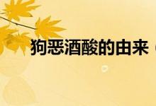 狗惡酒酸的由來（狗惡酒酸怎么來的）