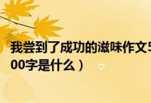 我嘗到了成功的滋味作文500字（我嘗到了成功的滋味作文500字是什么）