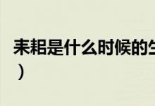 耒耜是什么時(shí)候的生產(chǎn)工具（耒耜是什么工具）