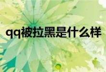 qq被拉黑是什么樣（qq被拉黑是什么樣子）