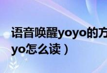語音喚醒yoyo的方式都有哪些（語音喚醒yoyo怎么讀）
