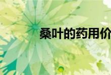 桑葉的藥用價(jià)值（桑葉的功效）